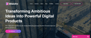 Bitswits - leading mobile app development company 